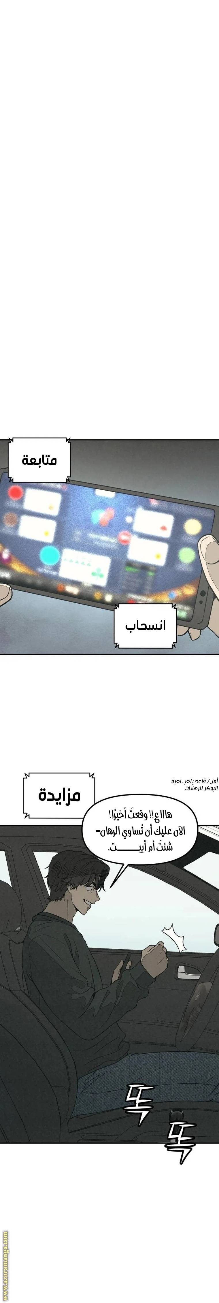 الصفحة 13