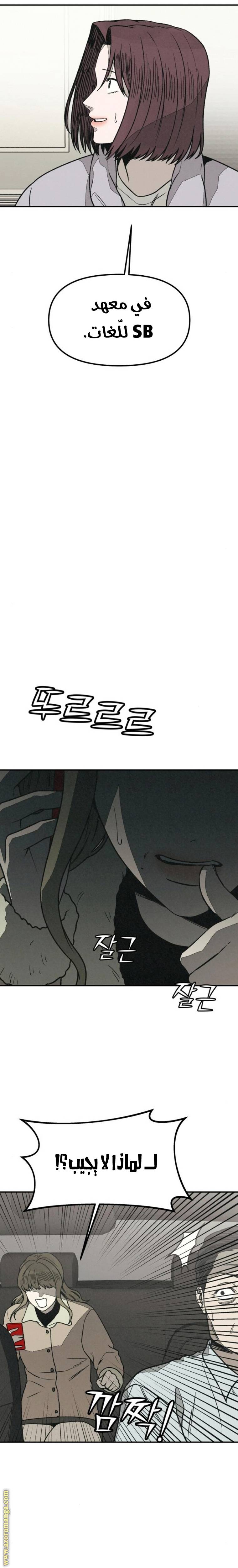 الصفحة 25