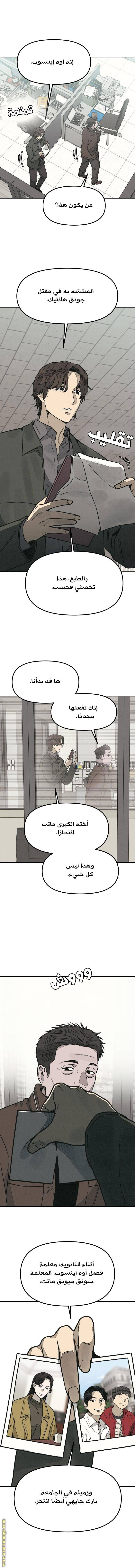الصفحة 17