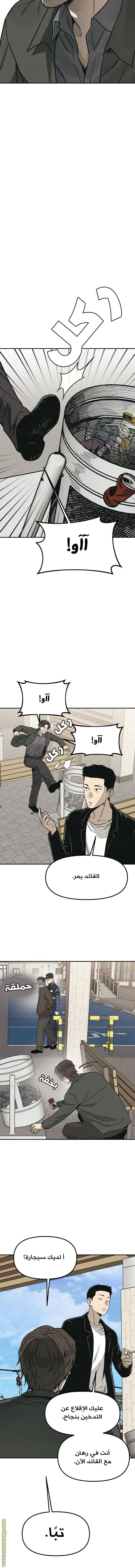 الصفحة 20