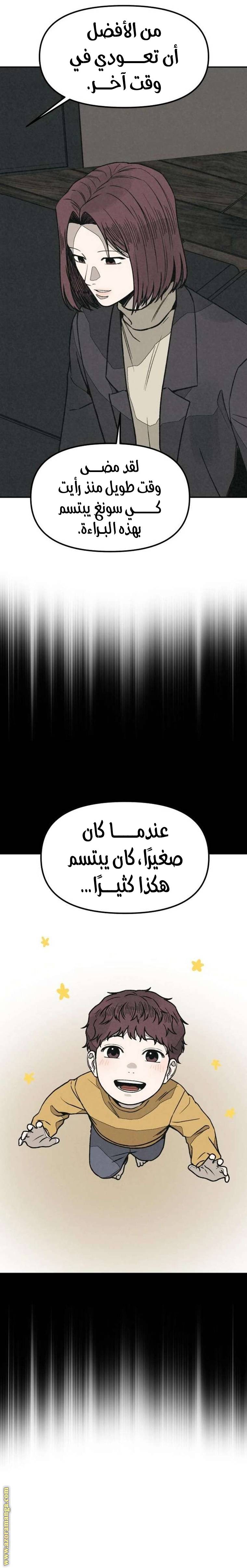 الصفحة 13