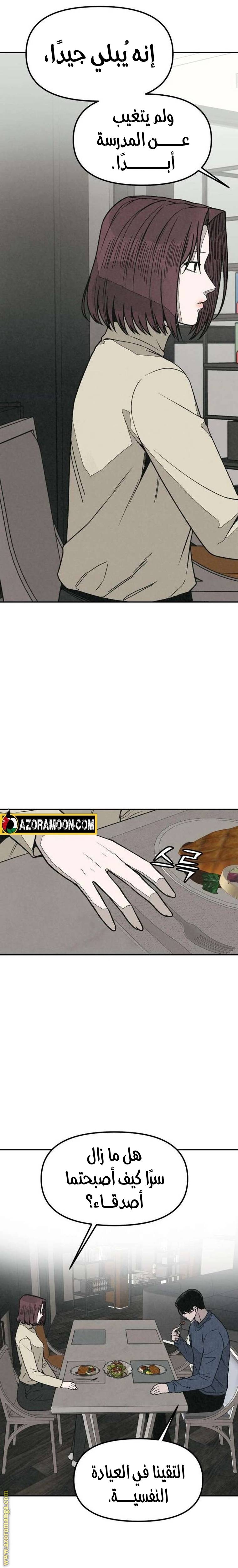 الصفحة 17