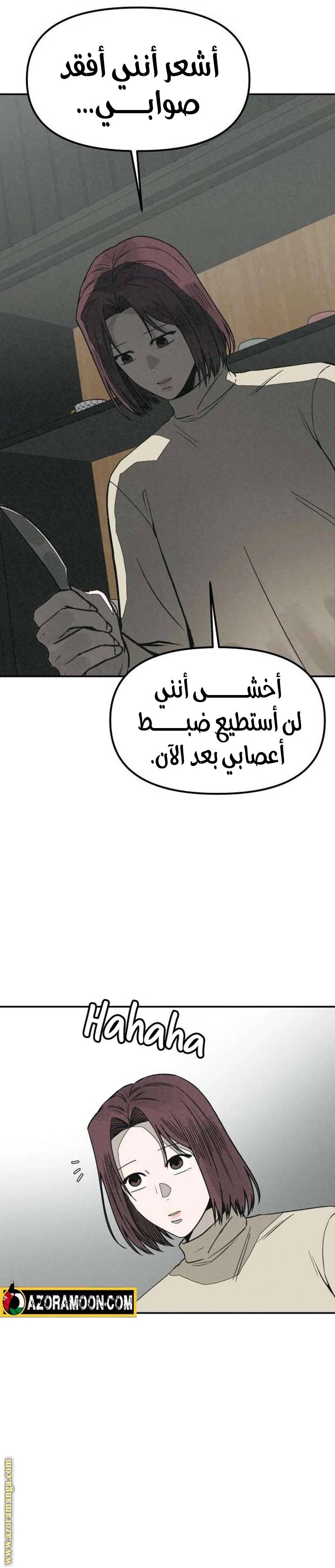 الصفحة 22