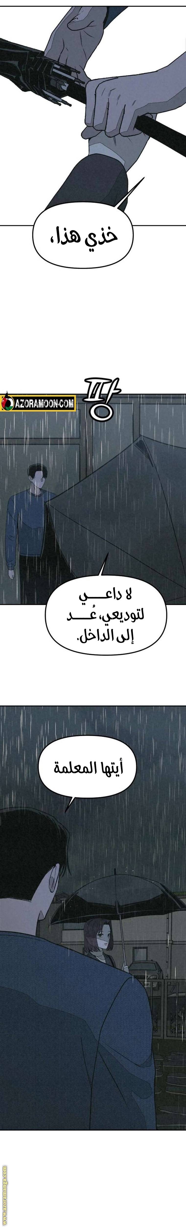 الصفحة 30