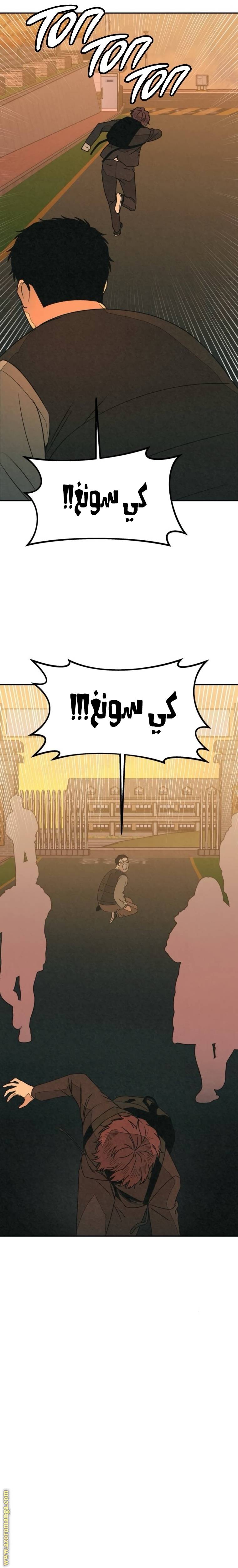 الصفحة 14