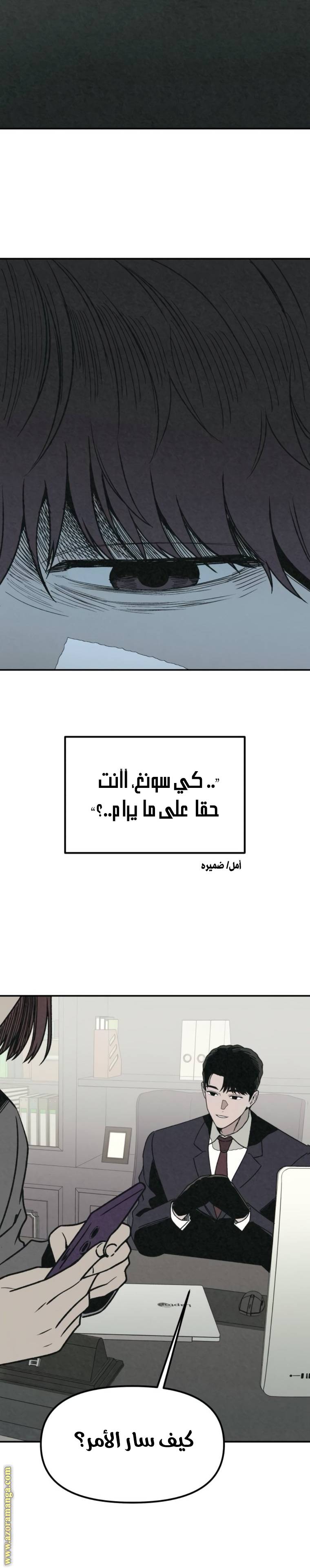 الصفحة 27