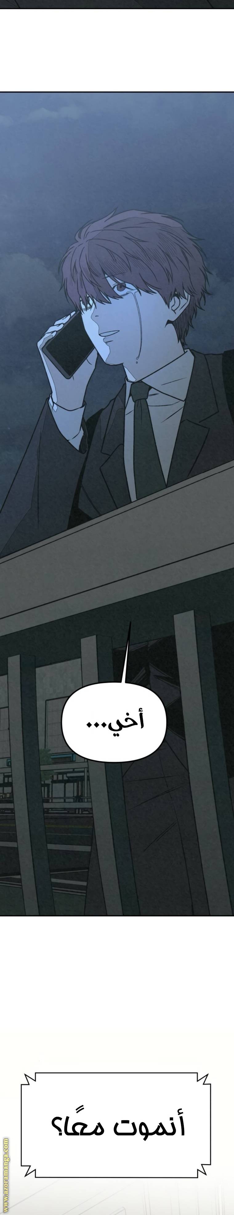 الصفحة 42