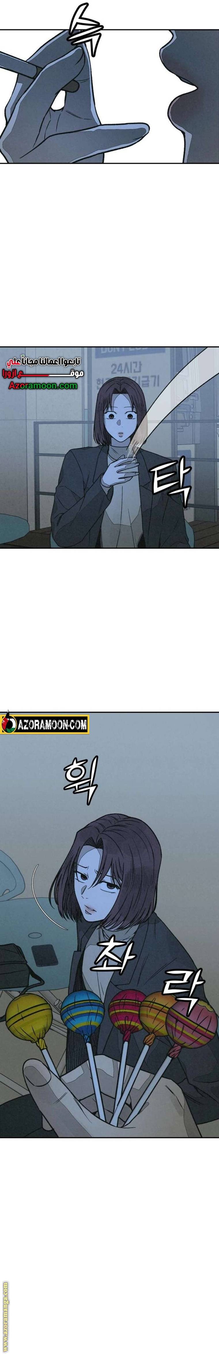 الصفحة 17