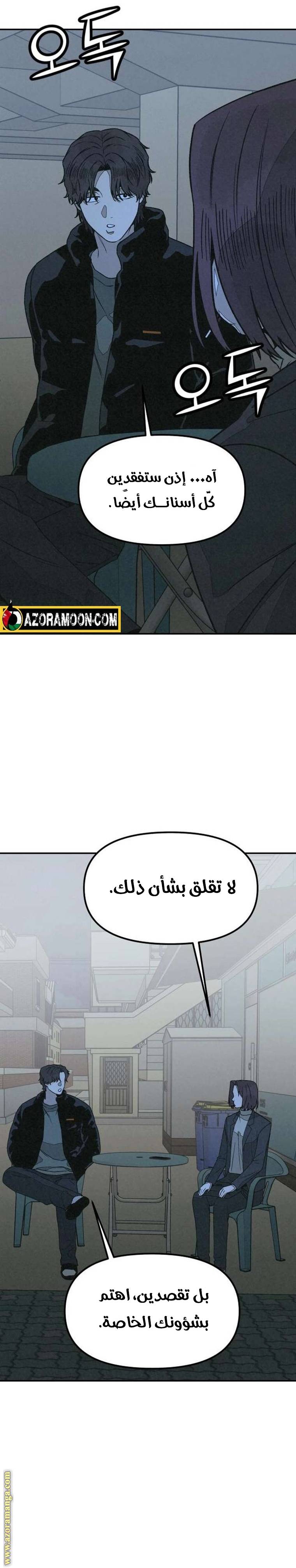 الصفحة 19