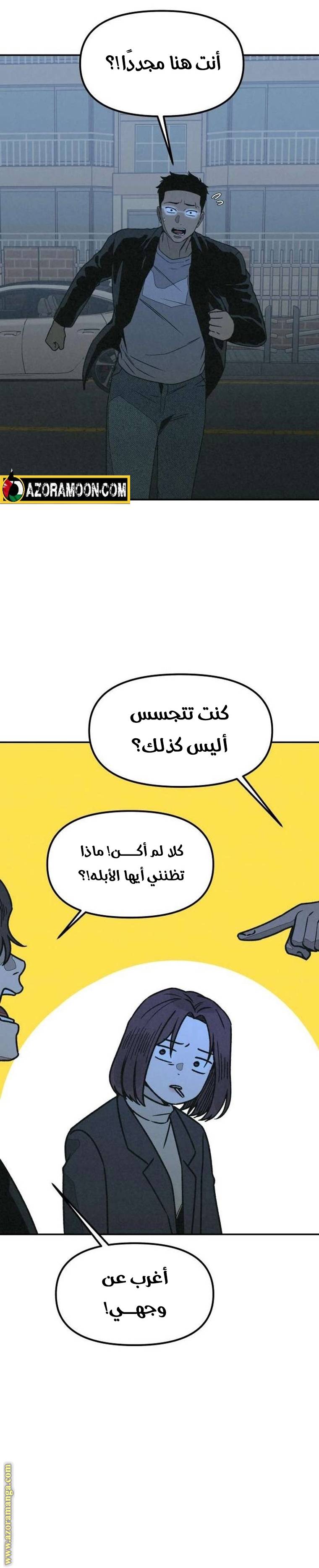 الصفحة 22