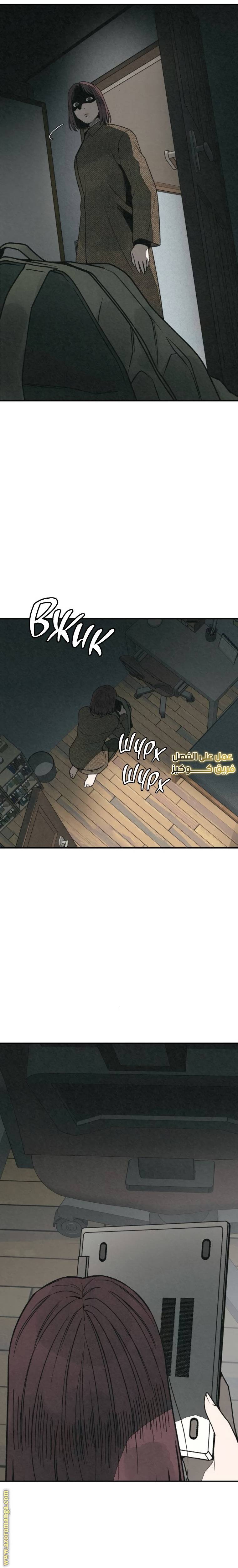 الصفحة 13
