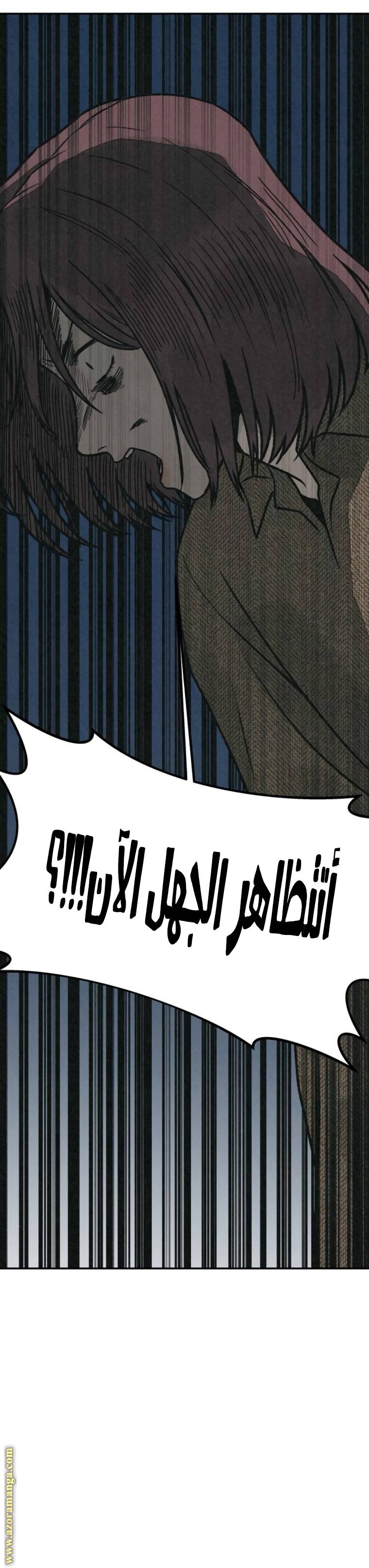 الصفحة 27