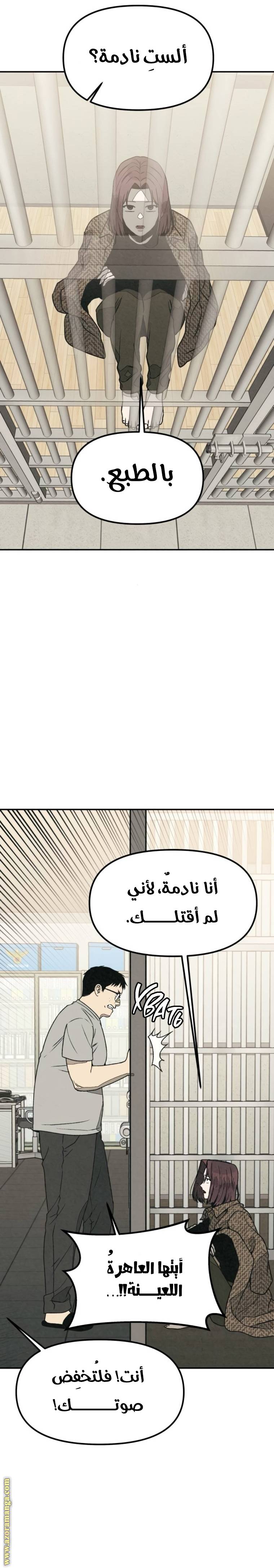 الصفحة 41