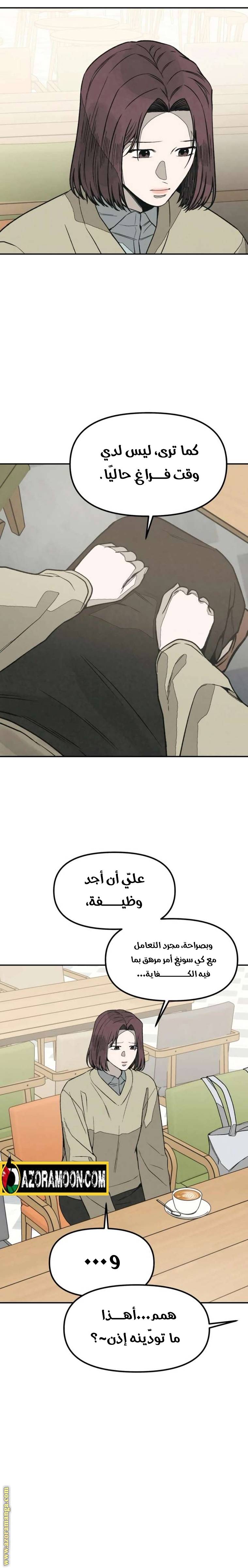 الصفحة 13