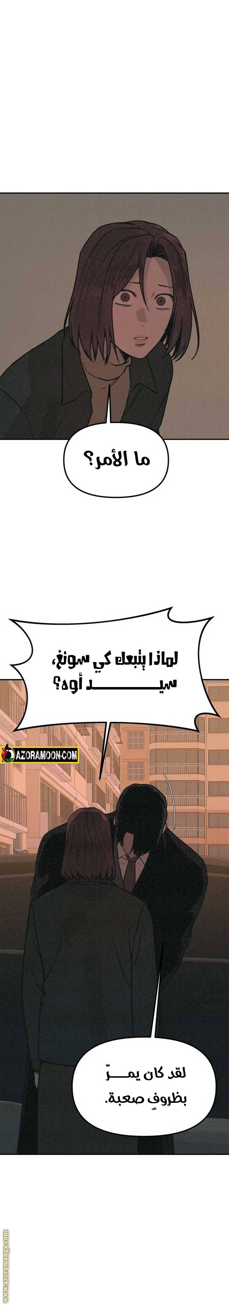 الصفحة 14