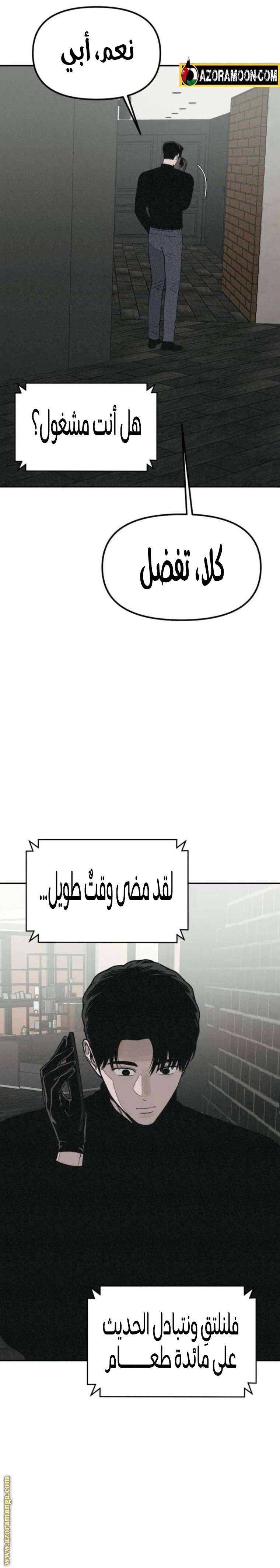 الصفحة 13