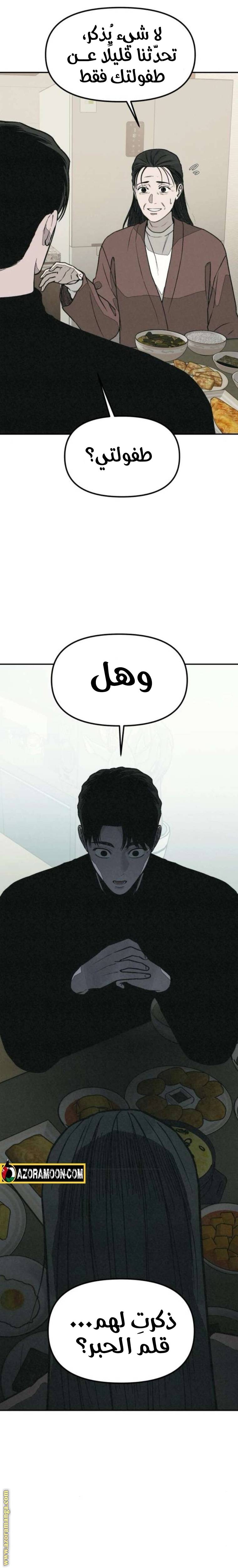 الصفحة 17