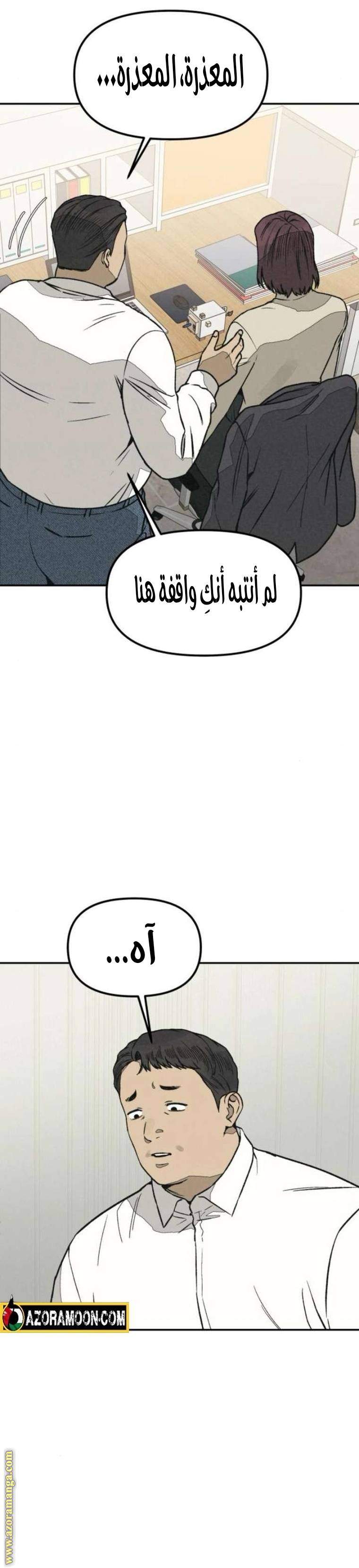 الصفحة 29