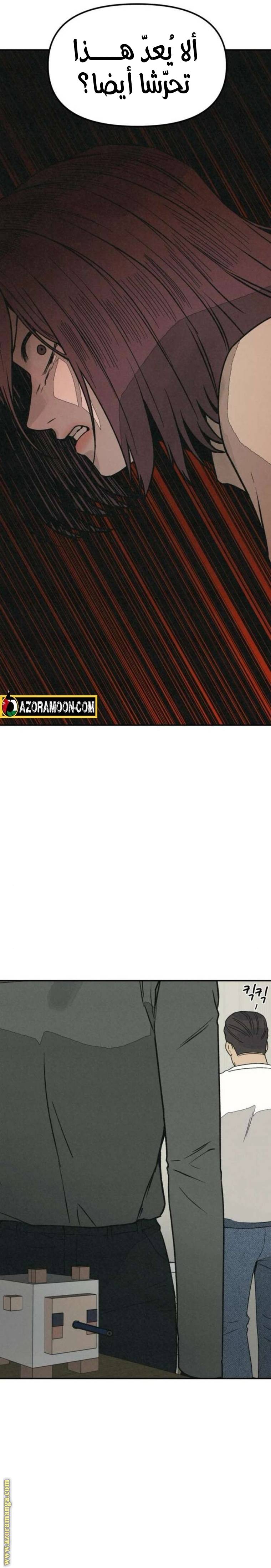 الصفحة 30