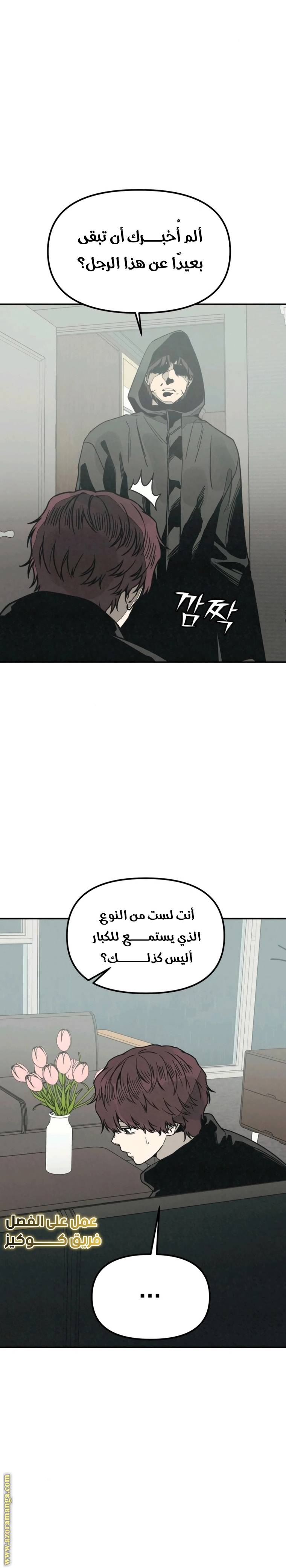 الصفحة 13