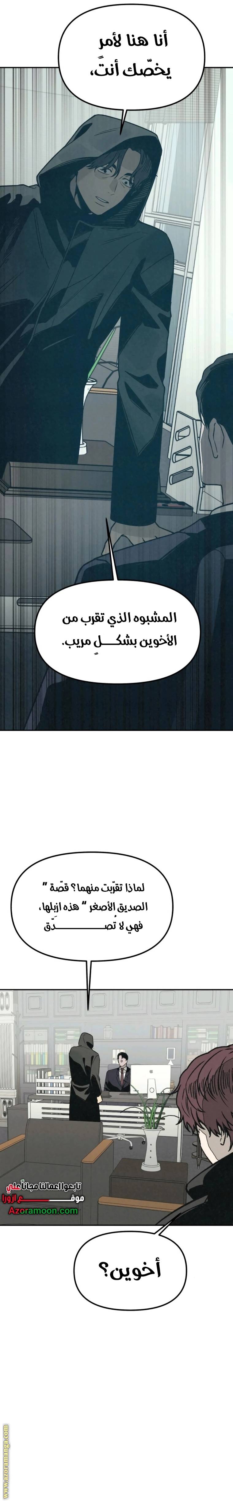 الصفحة 17