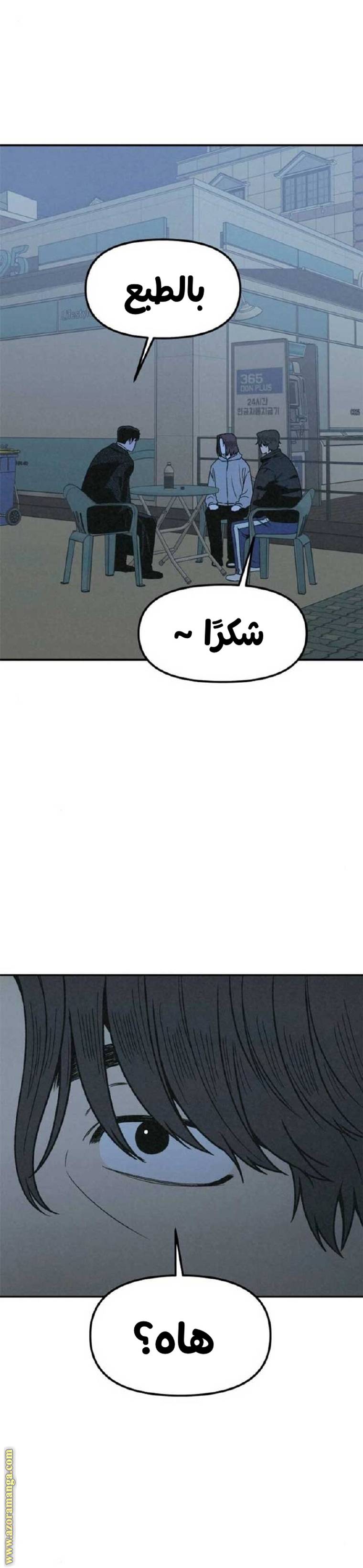 الصفحة 14