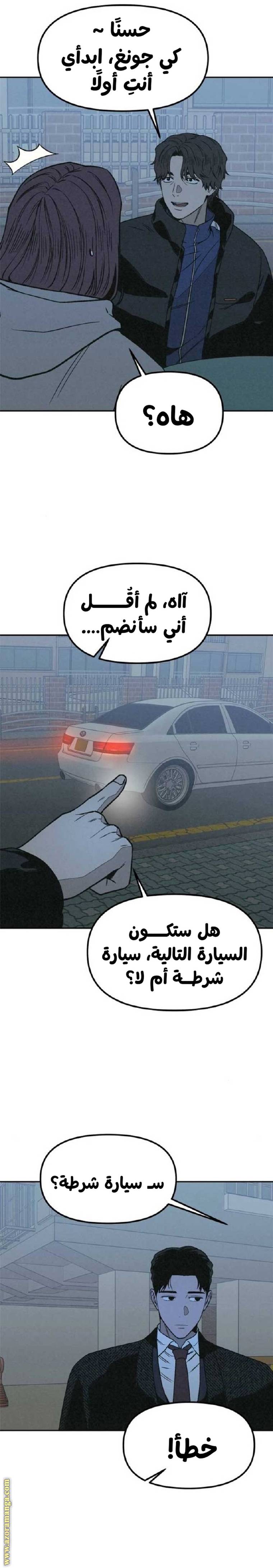 الصفحة 19