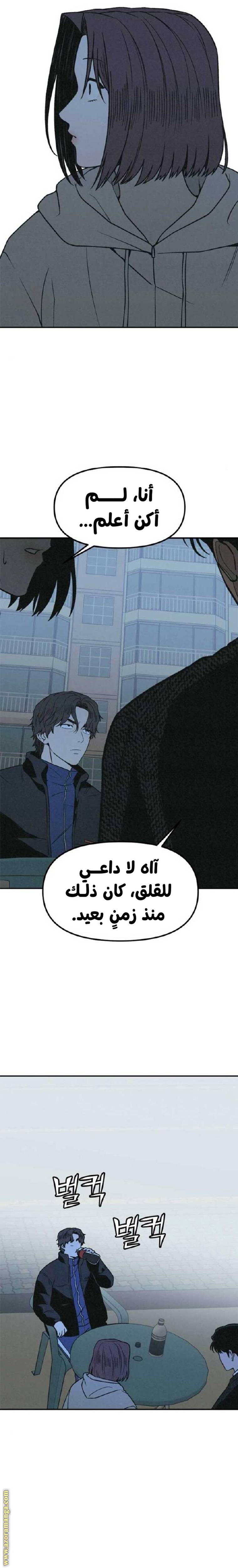 الصفحة 25
