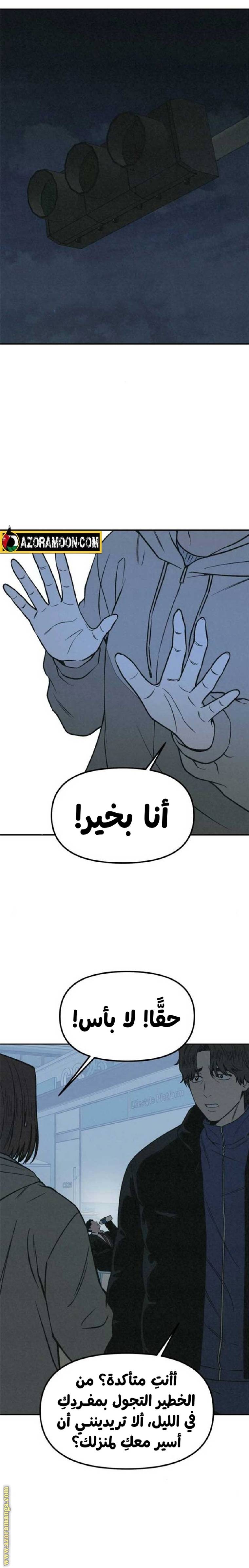 الصفحة 26