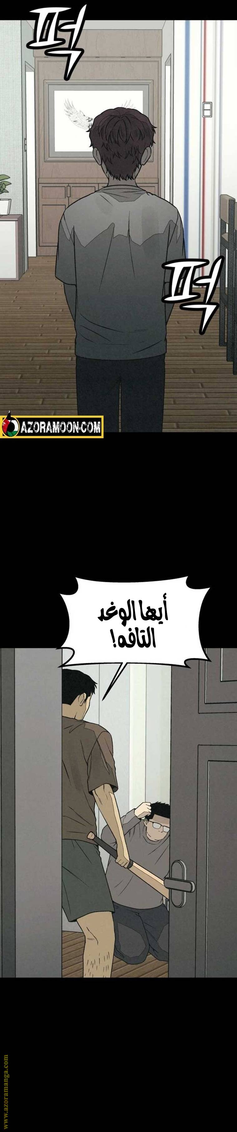 الصفحة 14