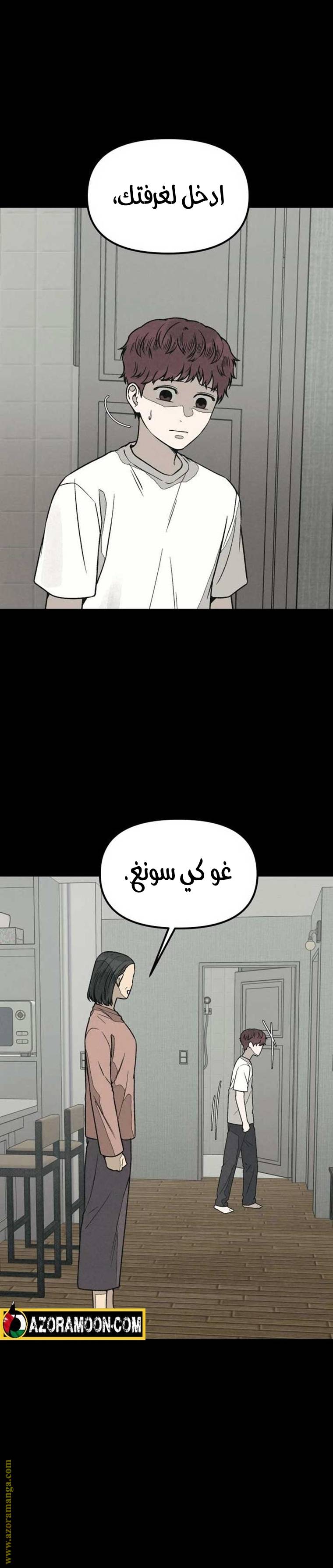 الصفحة 17