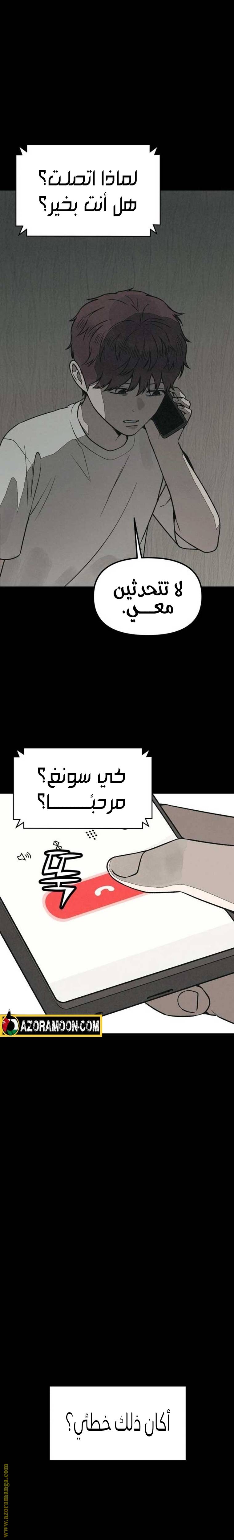 الصفحة 19