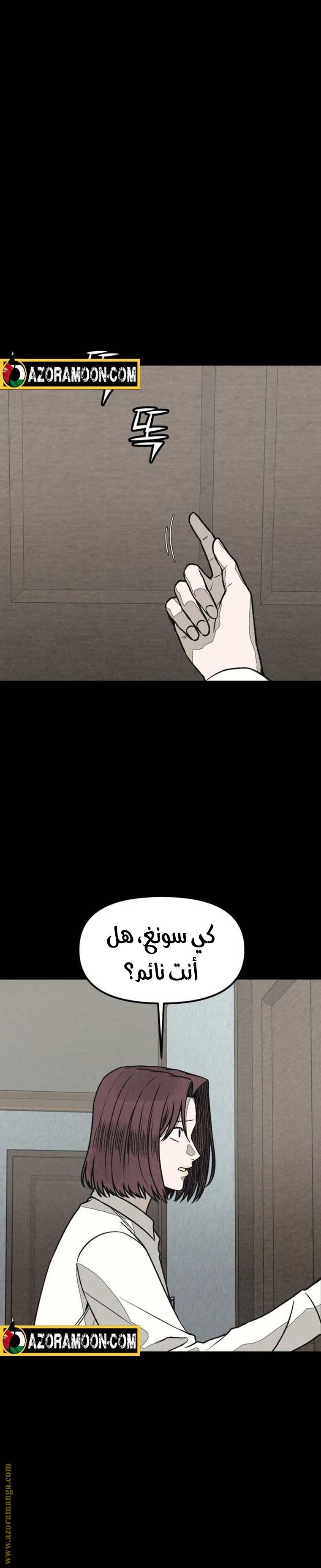 الصفحة 29