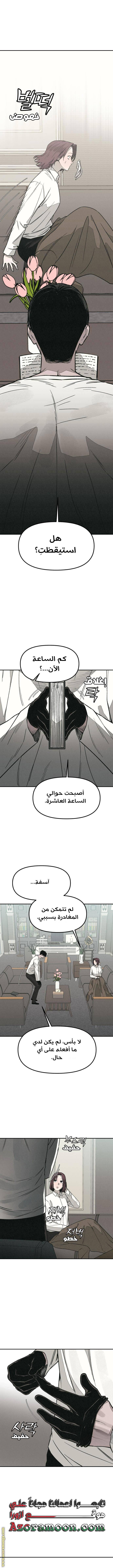الصفحة 5