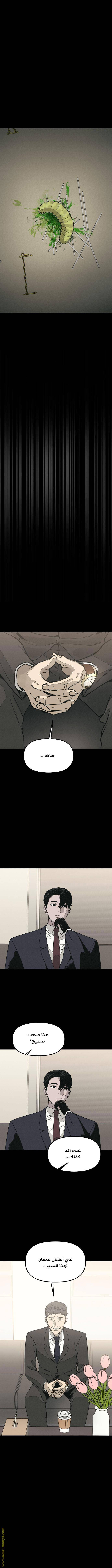 الصفحة 13