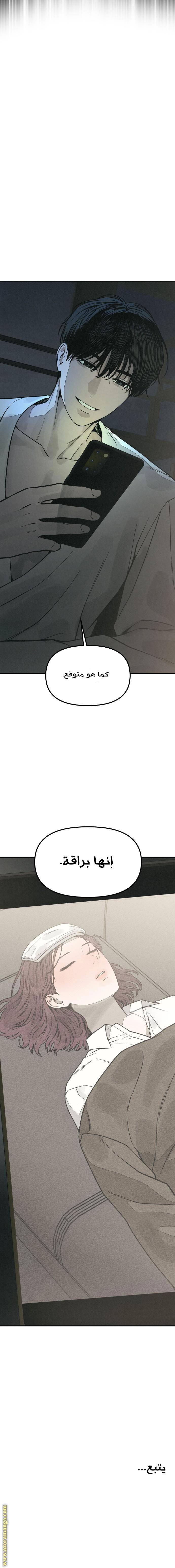 الصفحة 17