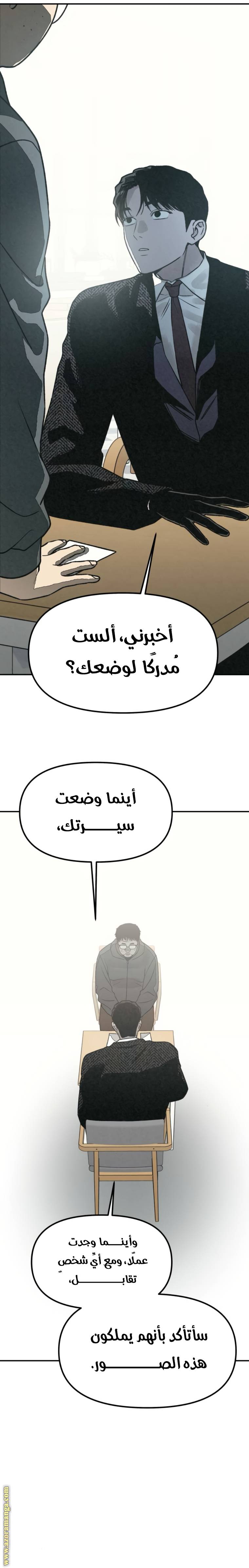 الصفحة 17