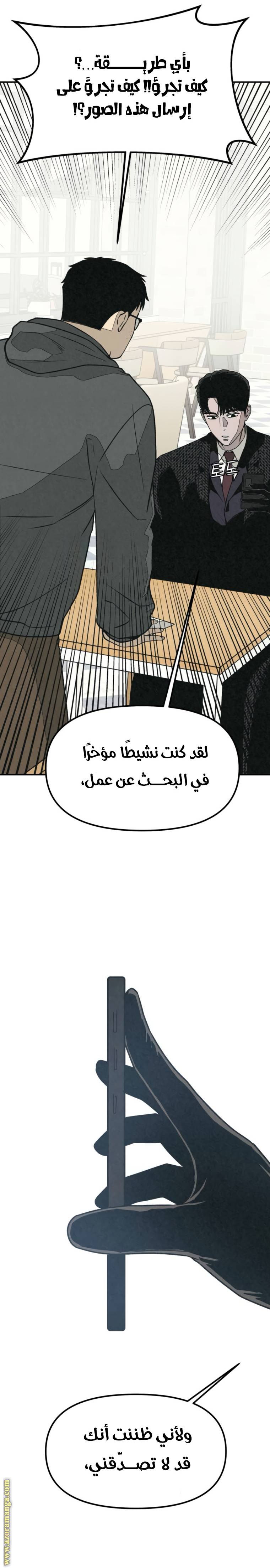 الصفحة 19