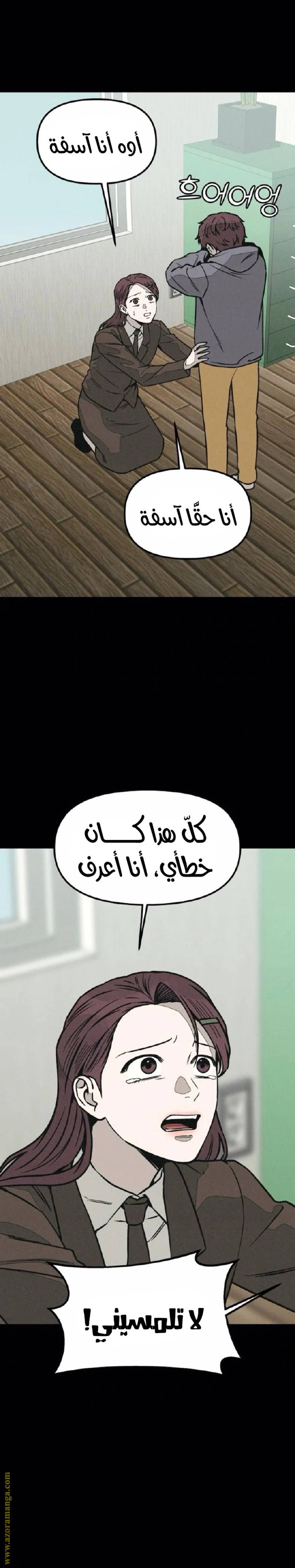 الصفحة 17