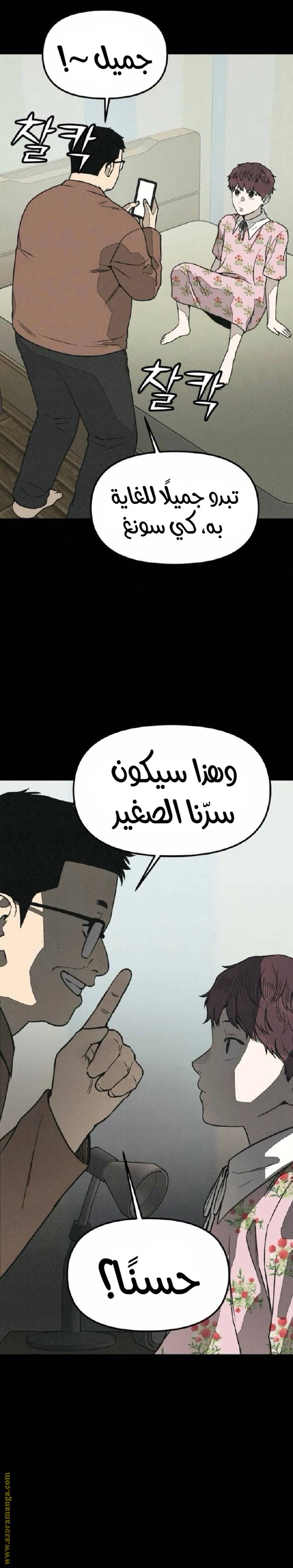 الصفحة 26