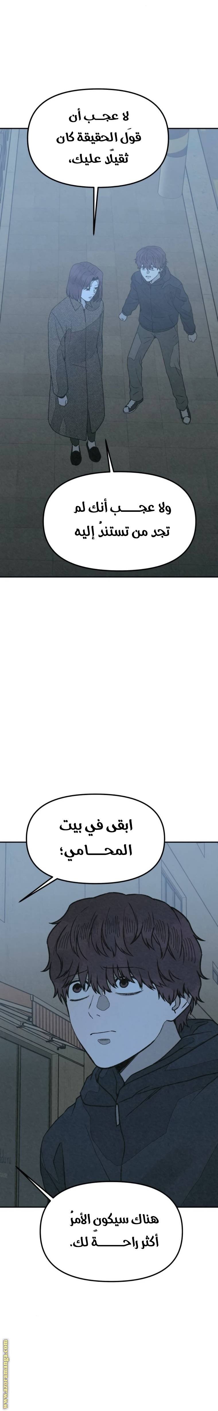 الصفحة 29