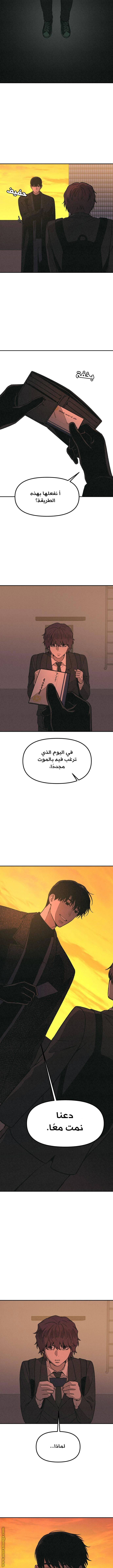 الصفحة 12