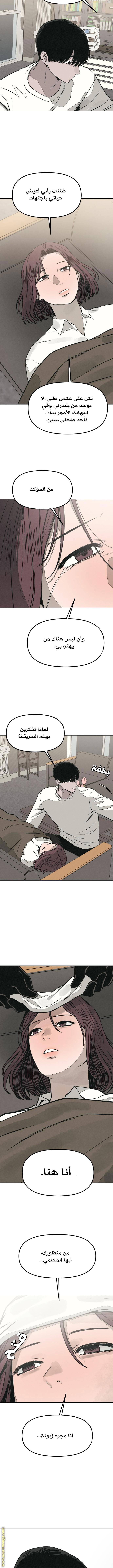 الصفحة 19