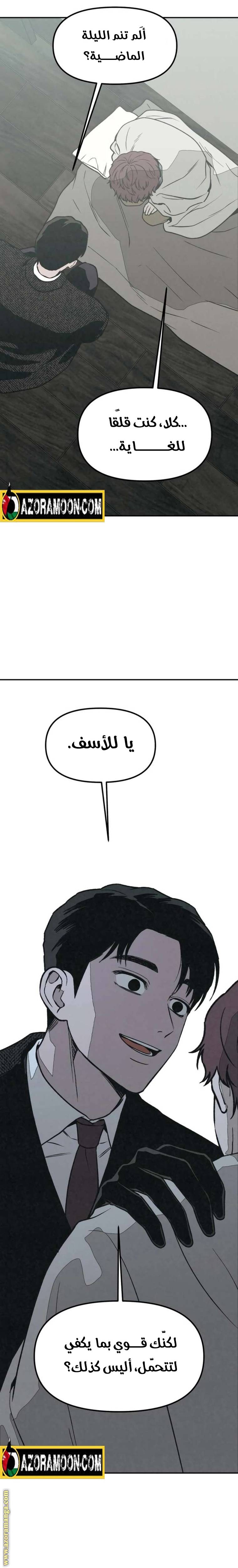 الصفحة 21