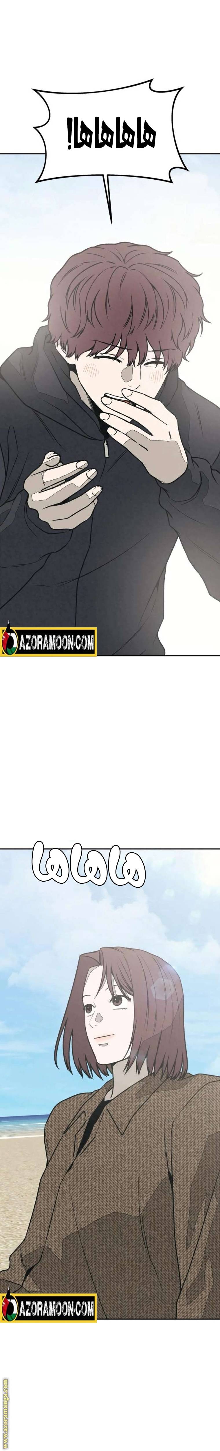 الصفحة 43