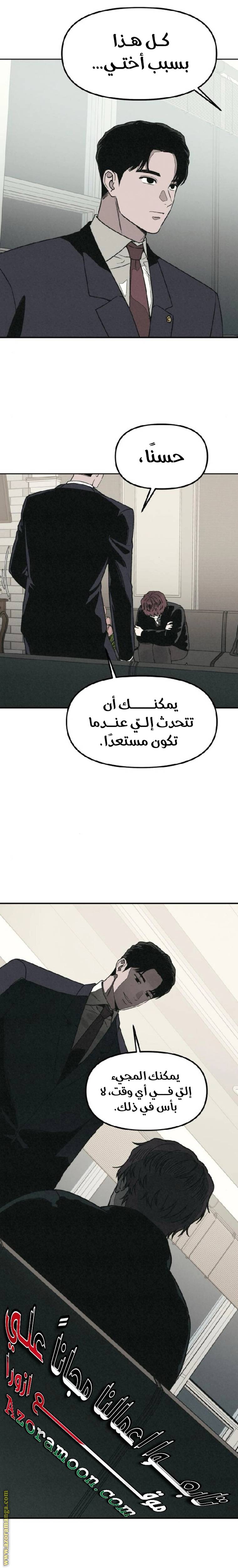 الصفحة 13