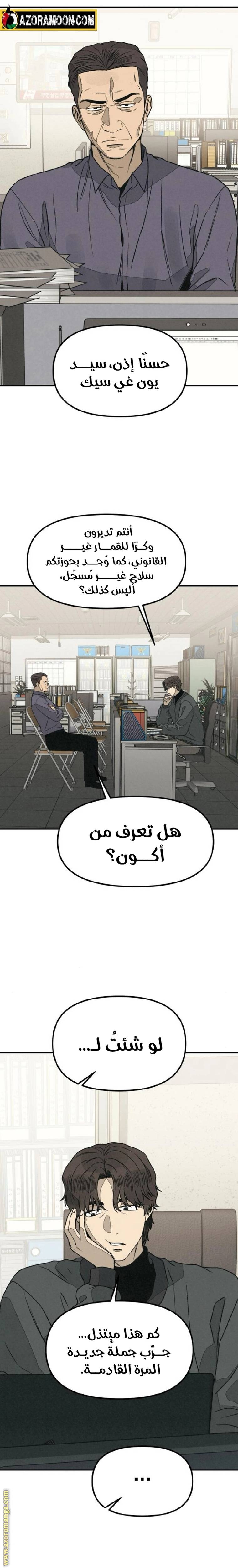 الصفحة 17
