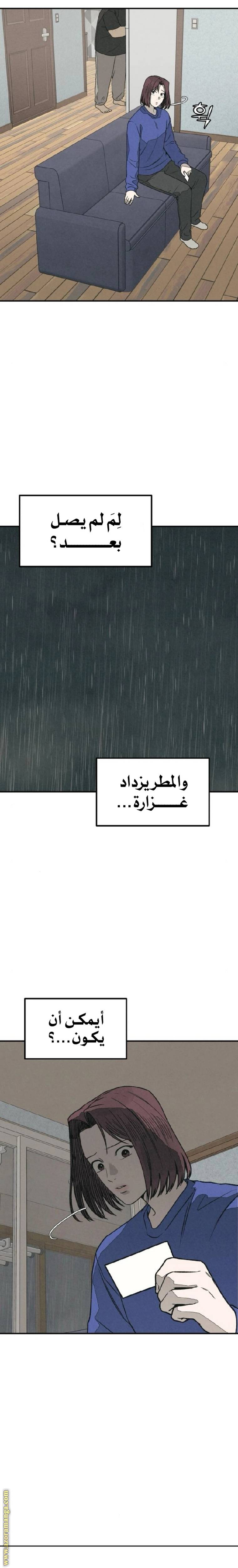 الصفحة 27