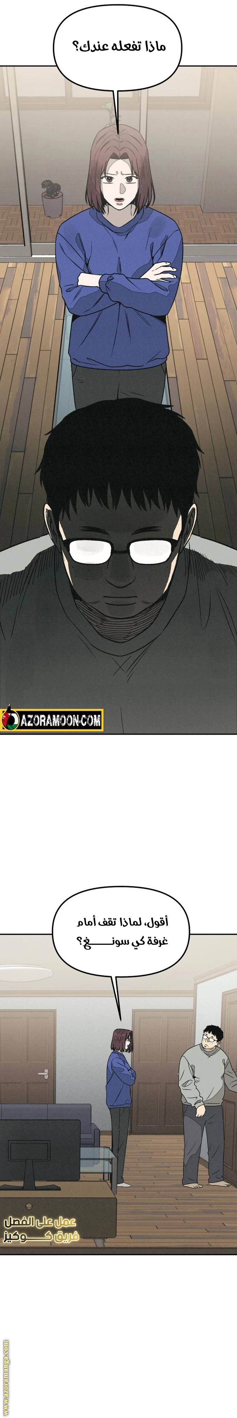 الصفحة 13