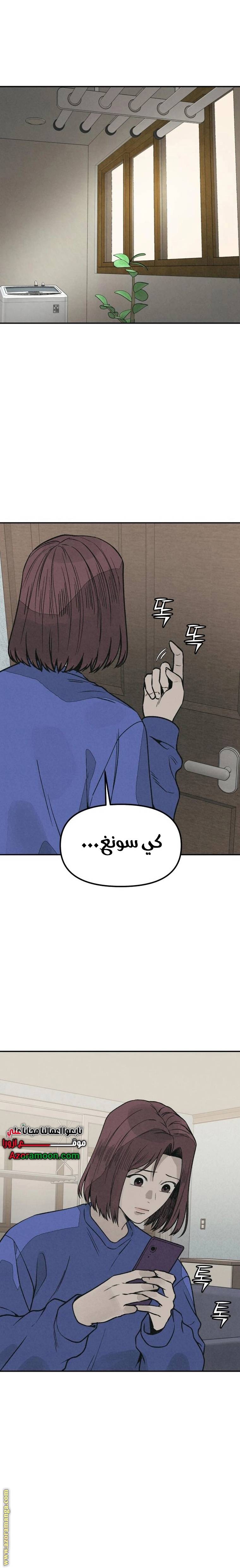 الصفحة 17